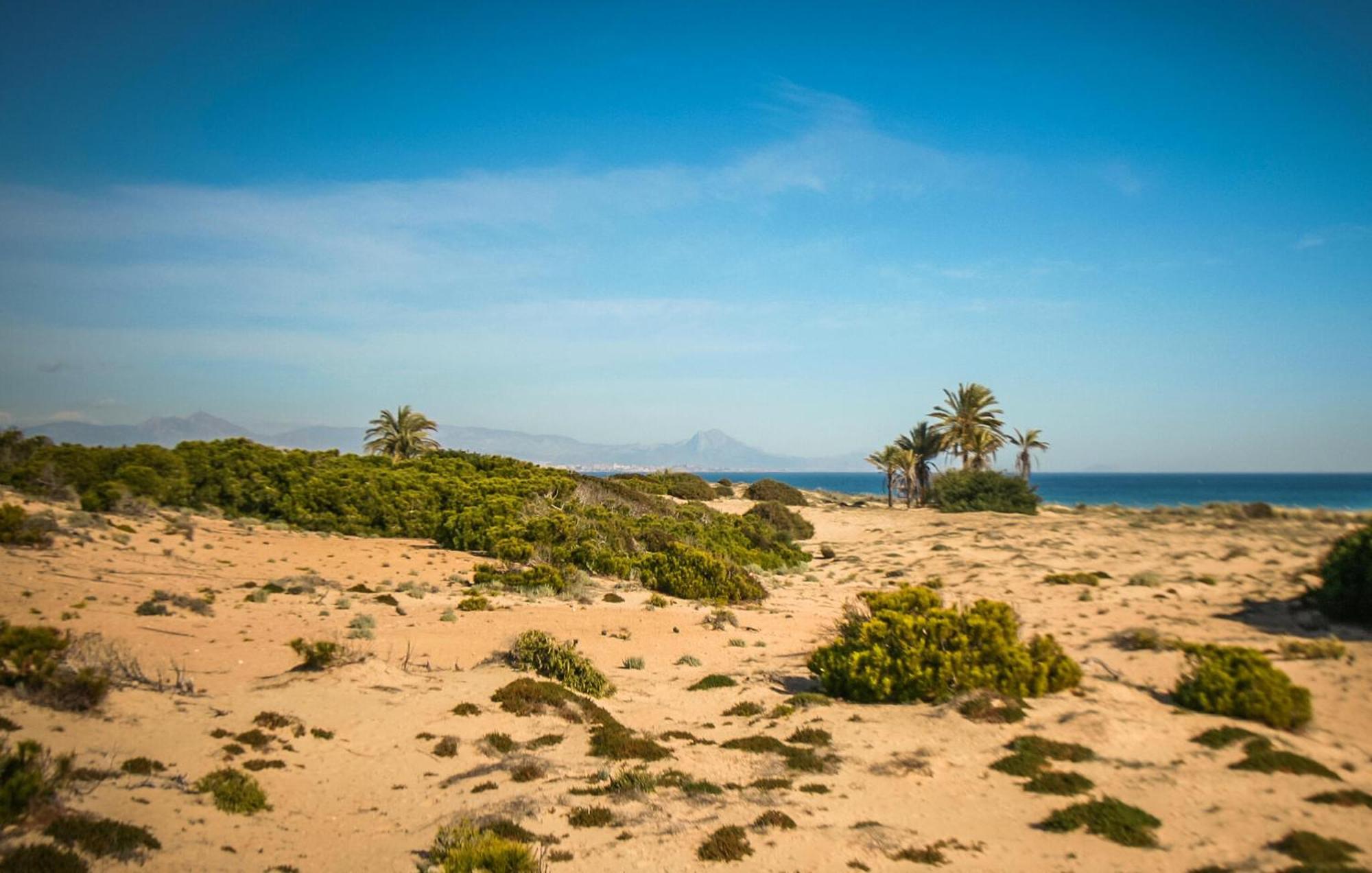 Cozy Apartment In Santa Pola With Kitchen ภายนอก รูปภาพ